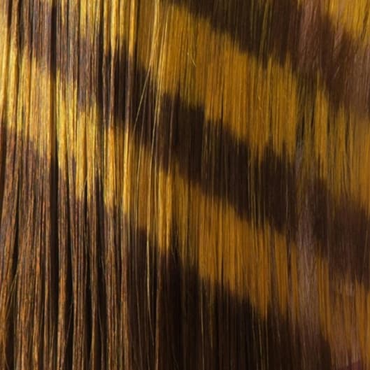 20” Hair Extensions with Color at Hair Trix By Britt in Burley, ID